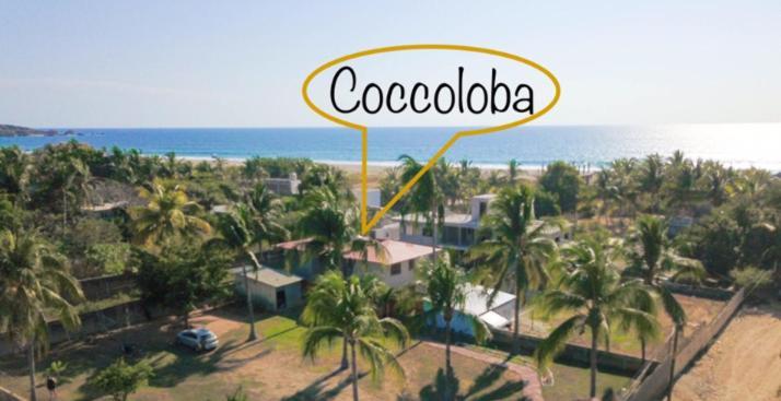 Coccoloba Guest House Puerto Escondido  Exteriér fotografie